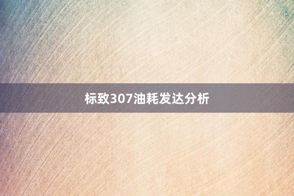 标致307油耗发达分析