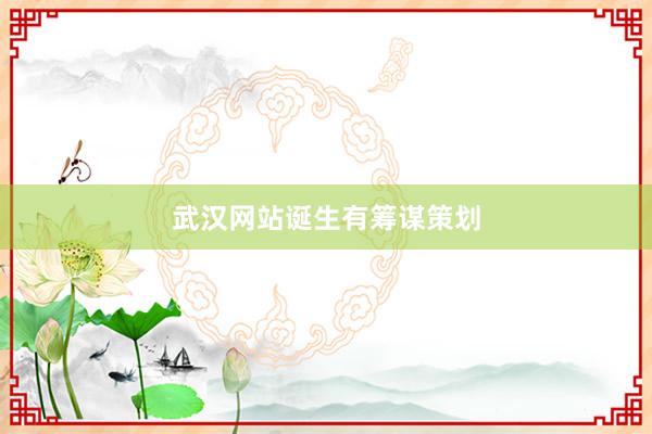 武汉网站诞生有筹谋策划